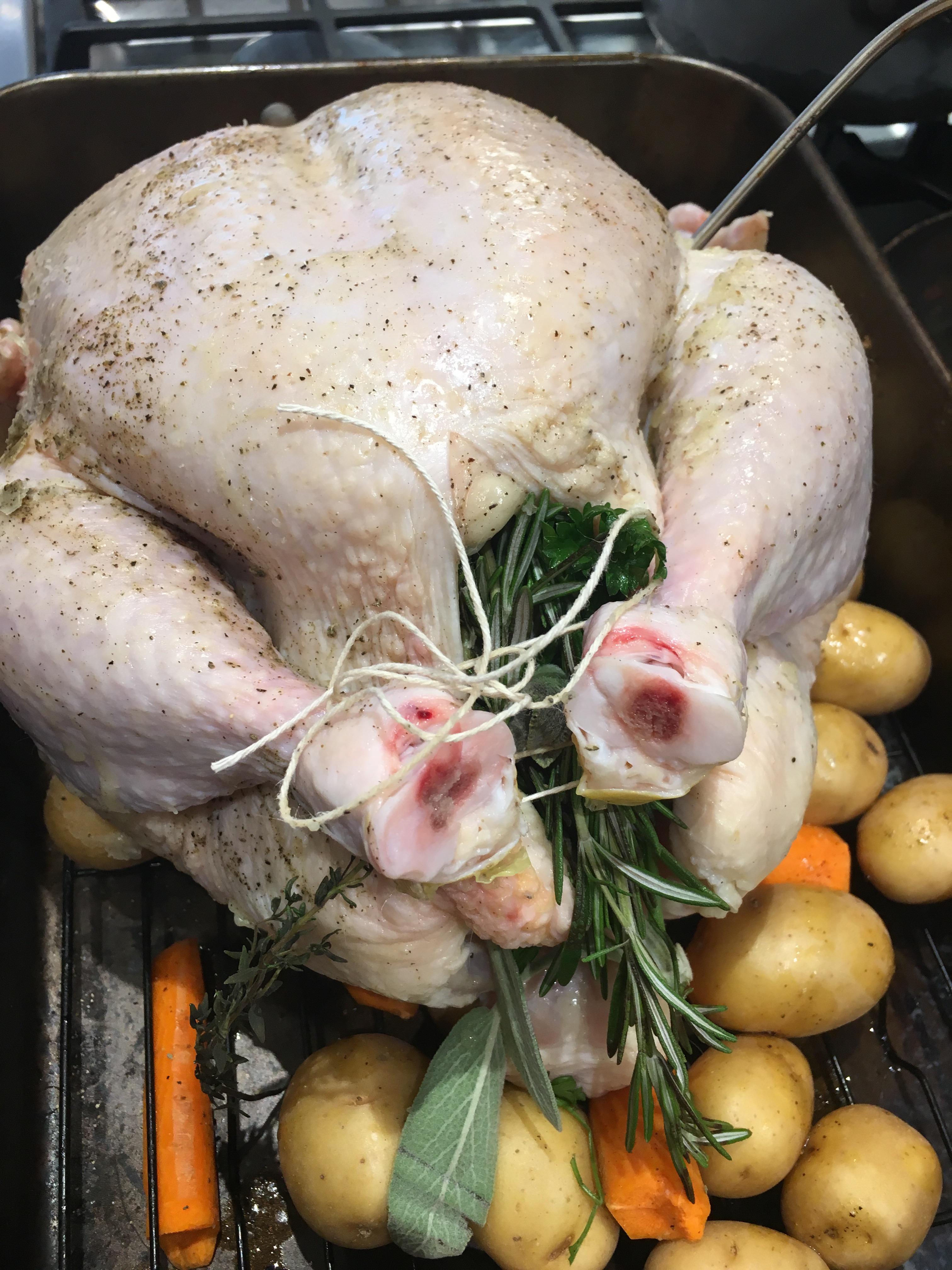 Some Chicken Roast Chicken – Fun Foodie Family